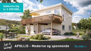 Hedalm Anebyhus forside toppbilde 1110x624 2018 Apollis 2 1